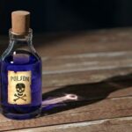 Je Fikus Benjamin Jedovatý pro Kočky? Rady pro Zelený Dům s Mňoukáním!