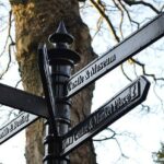 Jaký Kočičí Záchod: Průvodce Výběrem Pro To Nejlepší Pro Vašeho Královského Příbuzného!