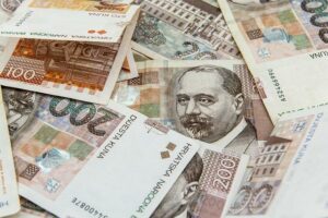 Kuna a Kočka Domácí: O Nevšedním Přátelství V Lesích A Doma!