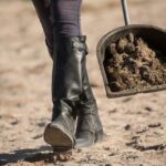 Jak Eliminovat Zápachu z Kočičího Záchodu: Triky Pro Čistý Toaletní Koutek Mňoukání!