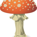 Je Vřes Jedovatý pro Kočky? Krásný, Ale Ostrý – Jak Udržet Vaše Mňoukání v Bezpečí!