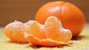 Citrus Jedovatý pro Kočky: Odborné Fakta a Jak Zajistit Bezpečný Domov pro Vaše Mňoukání!