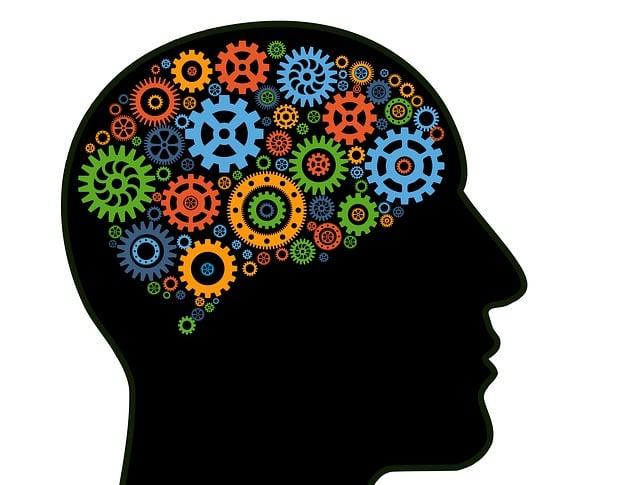 Moderní funkce 2v1: praktické a pohodlné řešení pro domácí mazlíčky