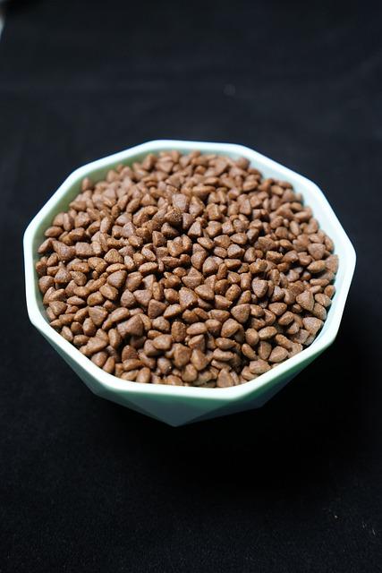 Asparagus Jedovatý pro Kočky: Zdraví a Krása v Domově Vašeho Mňoukání! 10 Základy péče o kočičí stravu s asparágem