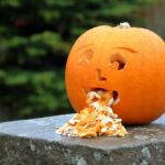 Zvracení kočky po jídle: Příčiny a rady na zlepšení trávení! 2 Zvracení kočky po jídle: Příčiny a rady na zlepšení trávení!