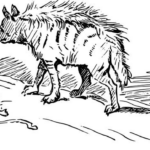 Kolik zubů má hyena: Odkryjte tajemství silné šelmičí čelisti