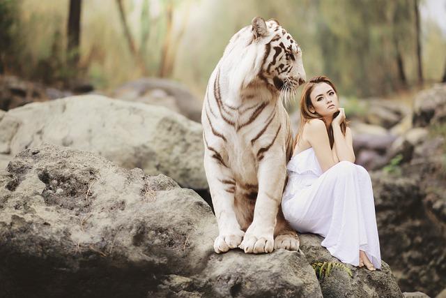Kde žije bílý tygr? Pohled do exotických koutů, kde se toulá král džungle!