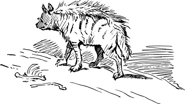 Hyena: Král savany v jediném slovu