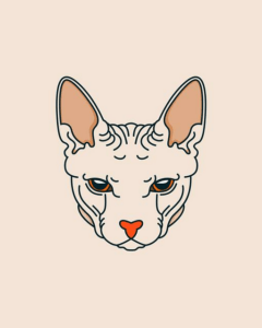 Sphynx útulek: Příběhy, Péče a Možnosti Adopce