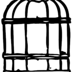 Za mřížemi: Jaké aktivity provádějí lvi v kleci?