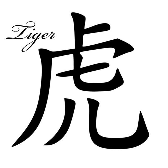 Tygr čínský: Tajemství exkluzivního druhu v tajuplných džunglích!