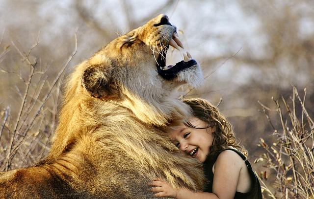 Safari do srdce savany: Jak zažít setkání s lvy