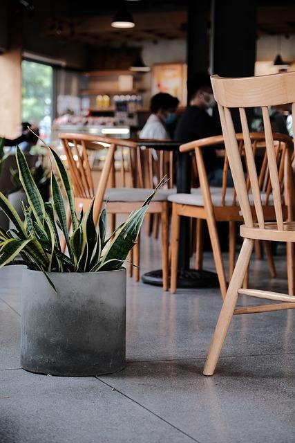 Setkání s kočkovitými šelmami: Fascinující zážitek v Prokopském údolí