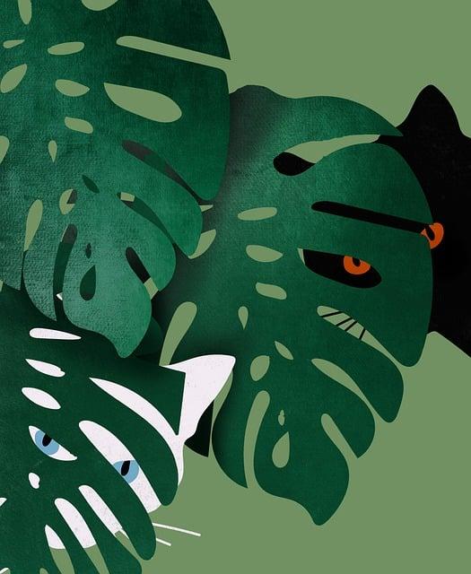 Kočkovitá šelma cvakání zubama: Fascinující zvuky divočiny 2 Představení kočkovitých šelem a jejich známá cvakání zubama