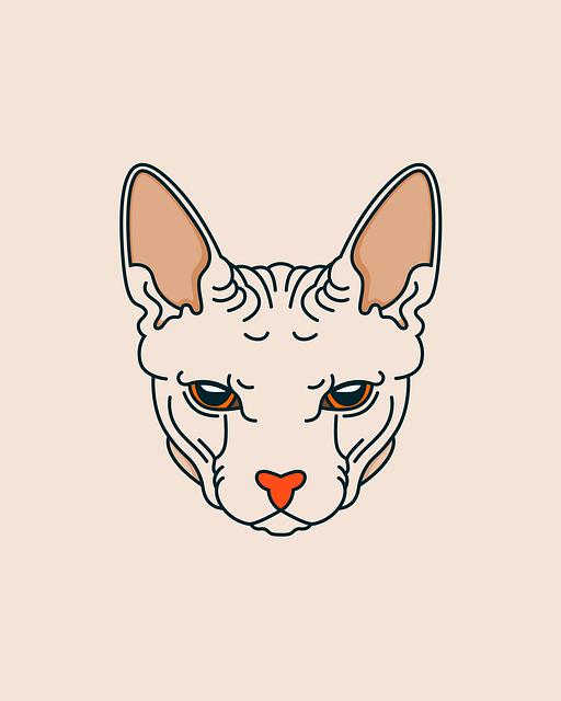 Jak vybrat styl, který bude vášmu sphynxovi‍ nejvíce vyhovovat