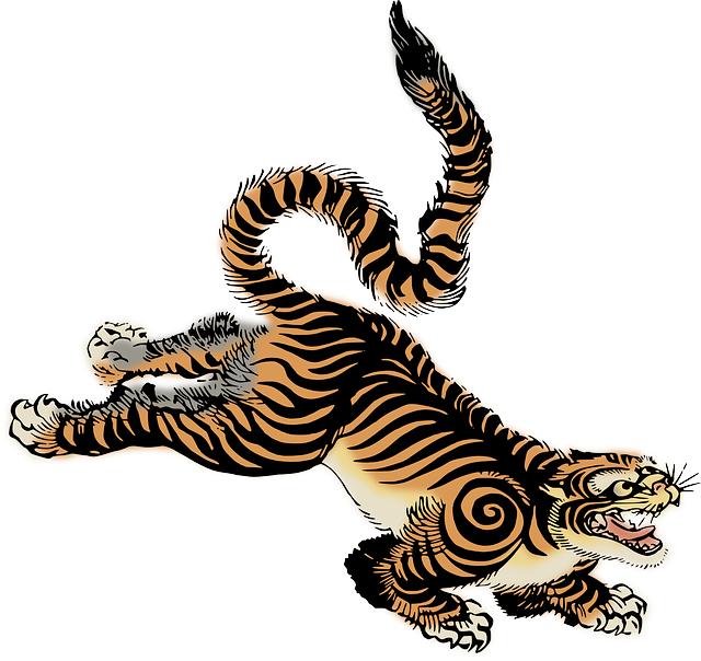 Co je tygr sumaterský: známý exotický člen šelmy