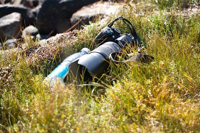 Potřebné vybavení‌ pro chov tygra doma