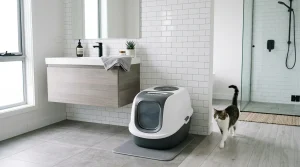 Kočičí záchod bez zápachu: 7 tipů pro čistý domov 5 Čistý moderní kočičí záchod v koupelně